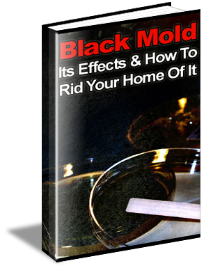 black mold removal guide for safe home cleaning and mold prevention tips
