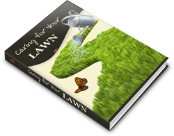 Caring for Your Lawn Guide showing lawn maintenance, green grass care, mowing and gardening tips for healthy outdoor space