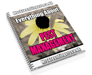 Pet Management Guide showing pet care, dog training, grooming, feeding and healthy animal lifestyle management concept