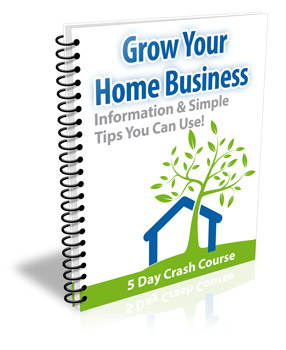 Grow Your Home Business Guide showing home office setup, online business growth, marketing strategy, and work from home success concept