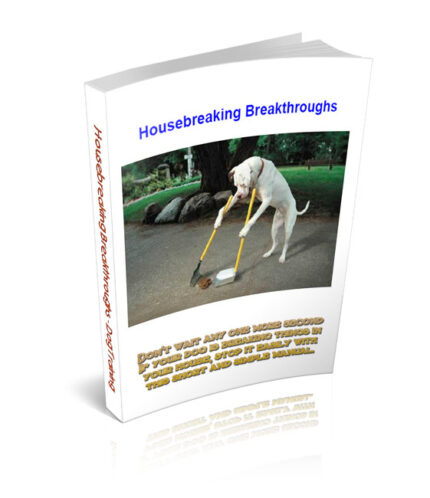 House Breaking Breakthroughs Guide showing home security protection, locked doors and windows, burglary prevention concept, and safe house illustration