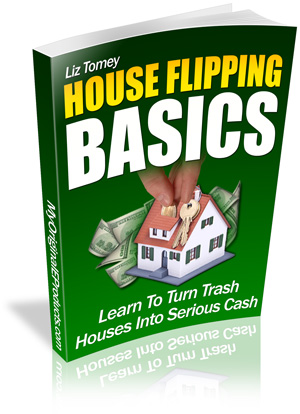 House Flipping Basics Guide showing home renovation process, property investment concept, before and after house transformation, and real estate profit strategy