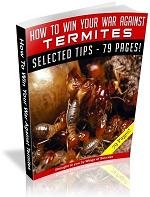 SEO optimized guide showing how to win your war against termites with effective pest control and home protection strategies