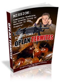 SEO optimized guide showing Oplan Termites strategies for termite control, home protection, and preventing structural damage in houses