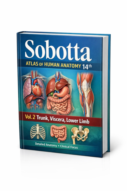 Sobotta anatomy atlas volume 2 showing trunk viscera and lower limb detailed human anatomy illustrations for medical study