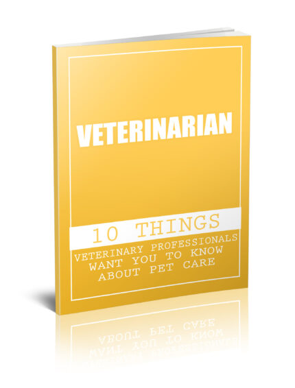 Professional veterinarian services providing expert pet care and treatment