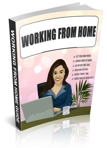 Working from home concept showing remote job opportunities and online earning guide for beginners at home