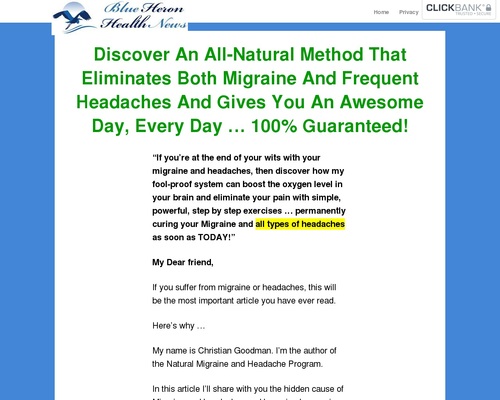 The Migraine And Headache Program! – Blue Heron Health News